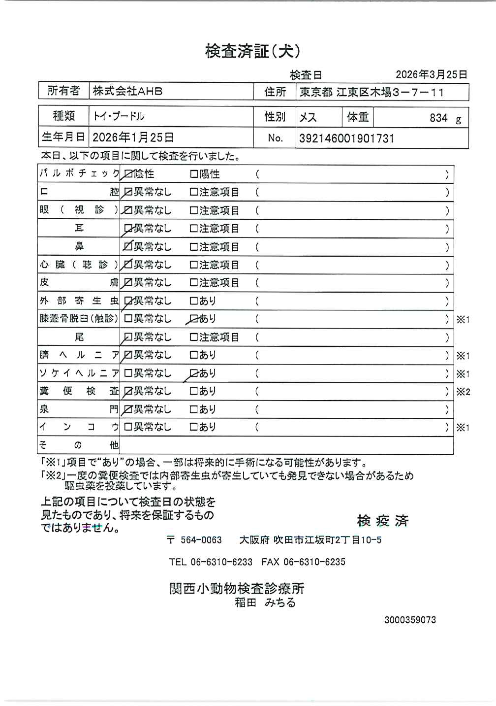 トイ・プードル