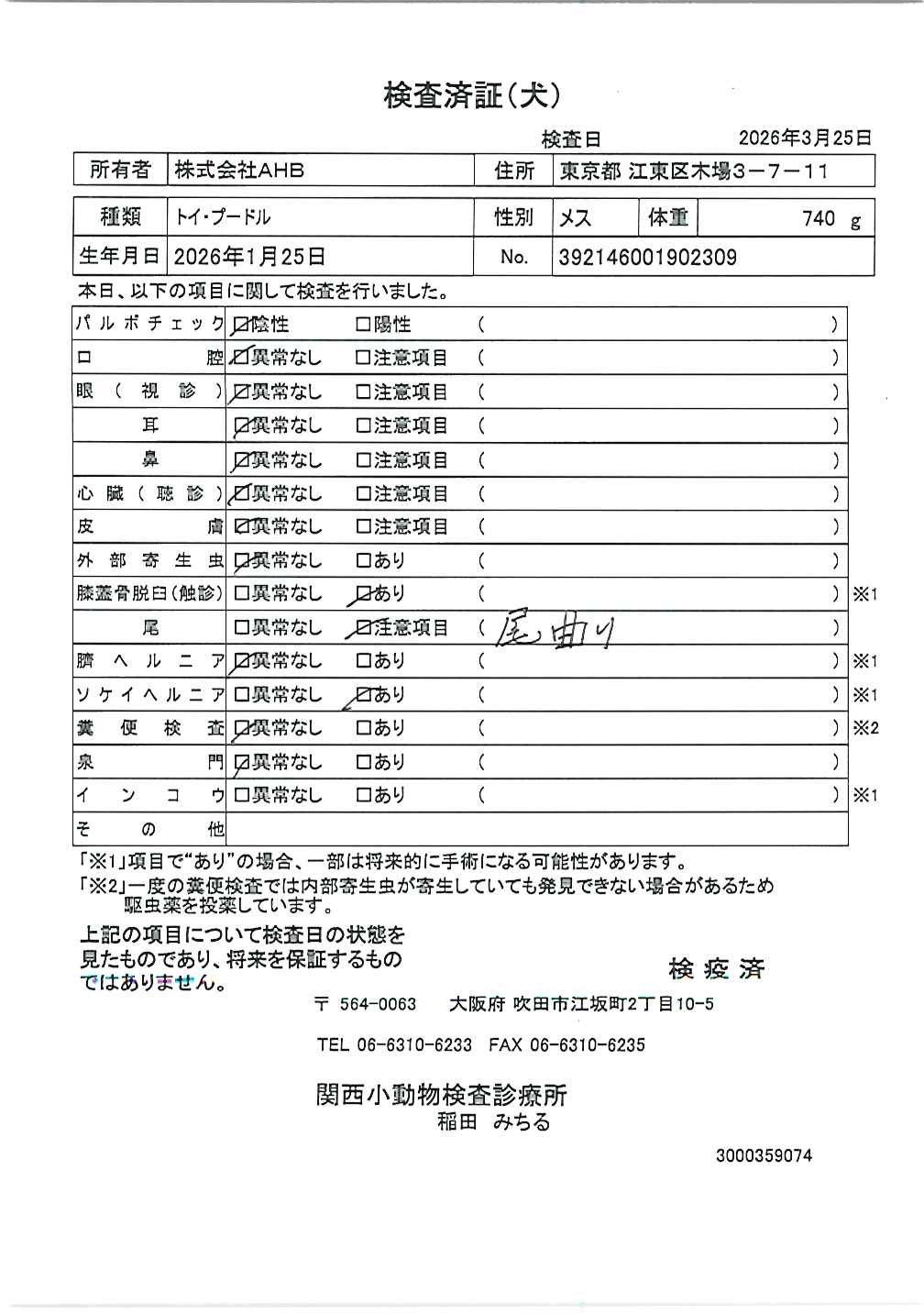 トイ・プードル
