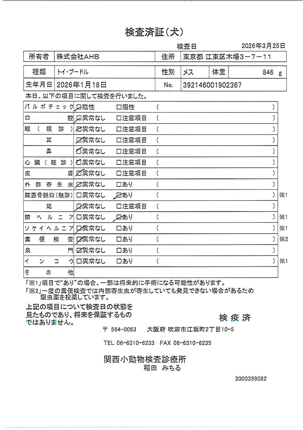 トイ・プードル