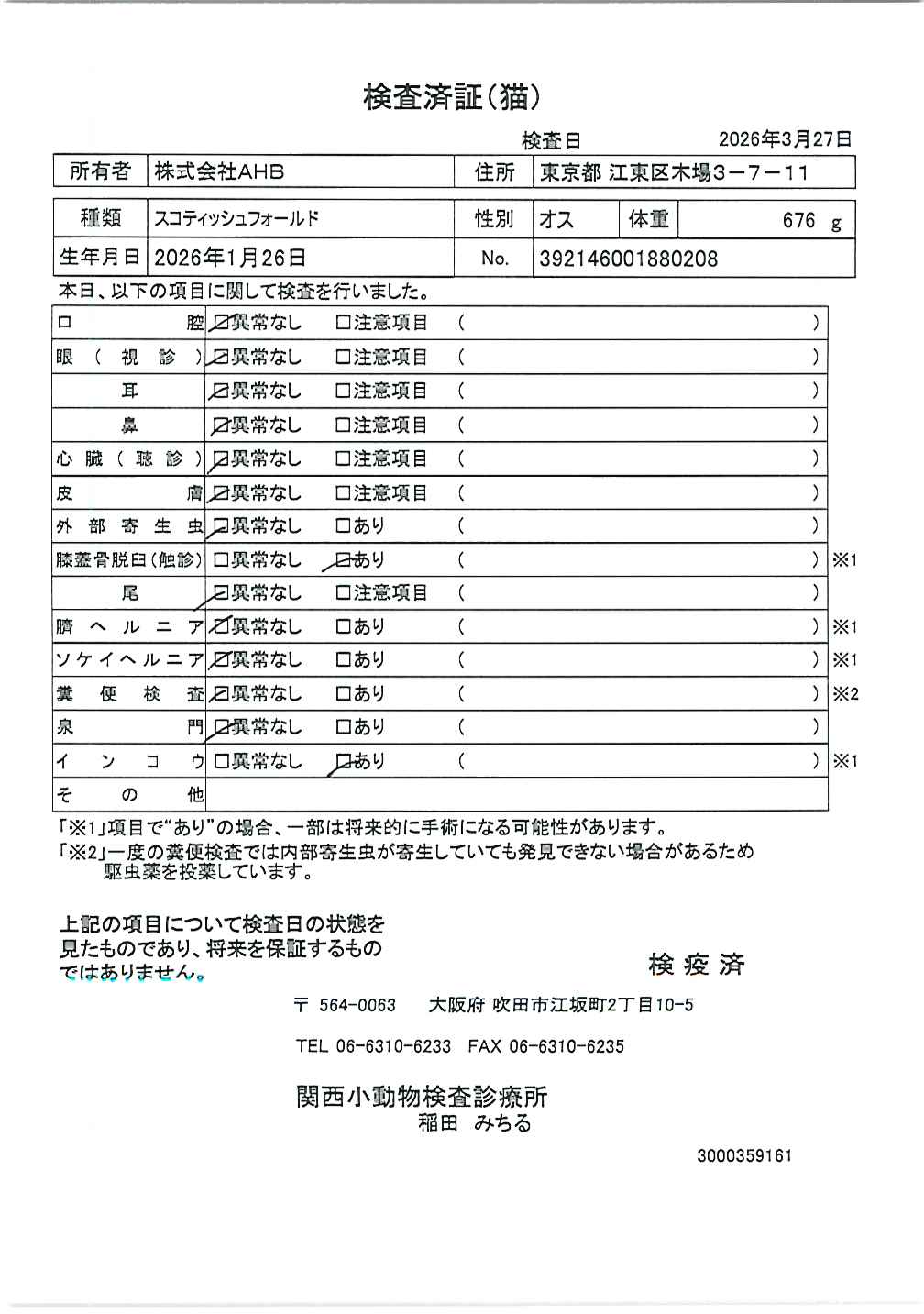 スコティッシュフォールド