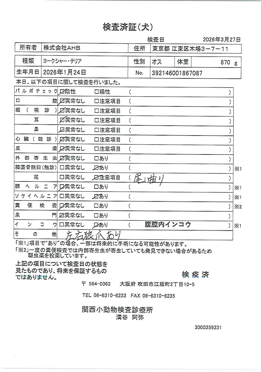 ヨークシャー・テリア