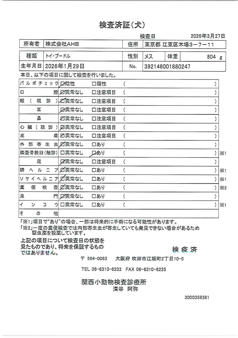 トイ・プードル