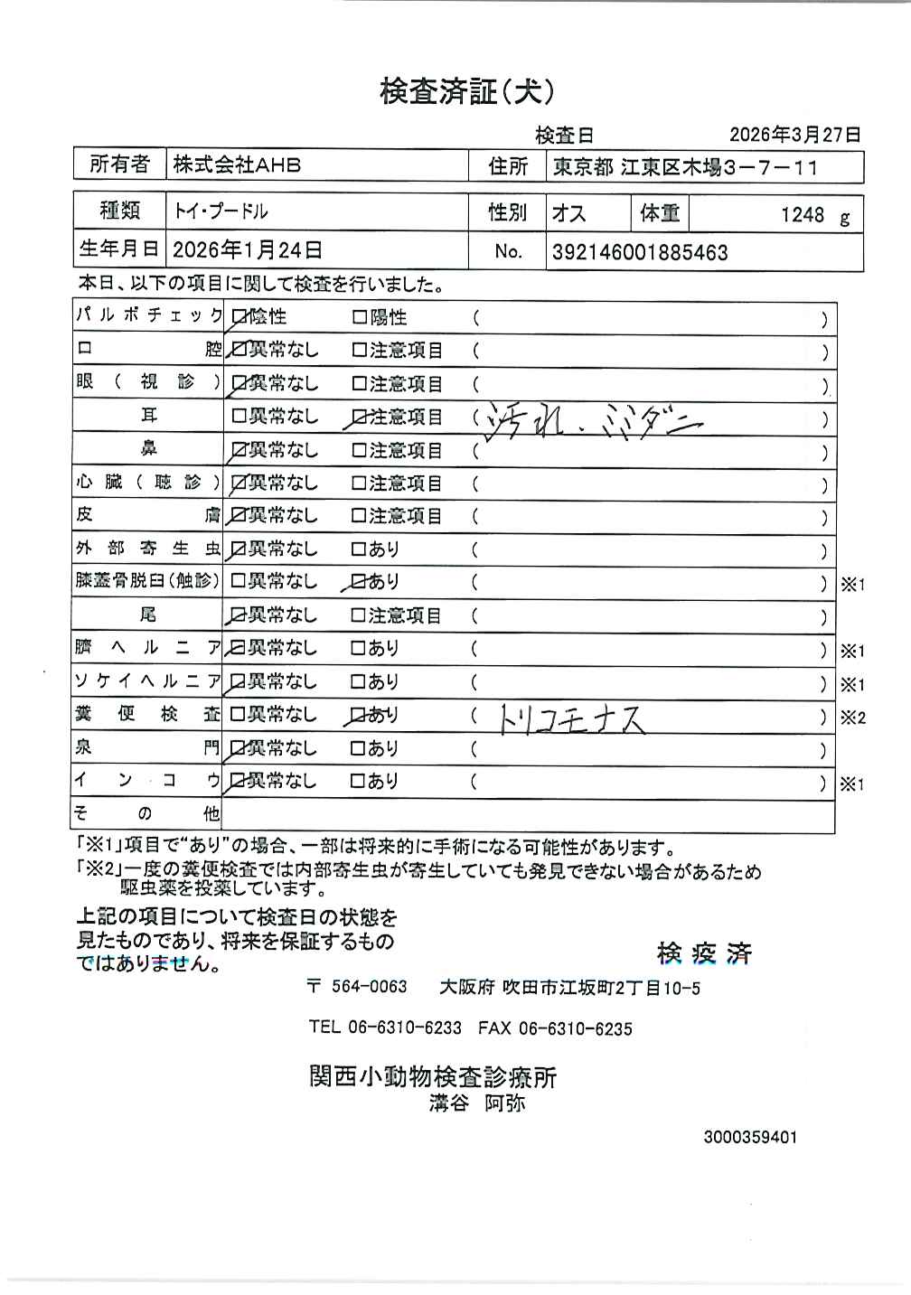 トイ・プードル