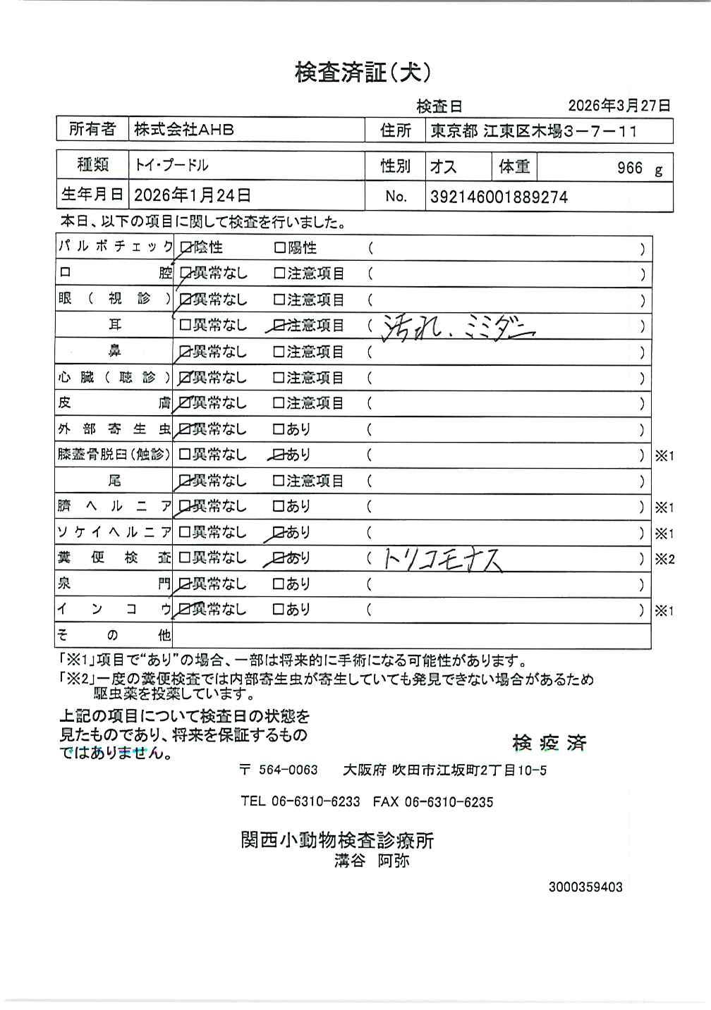 トイ・プードル