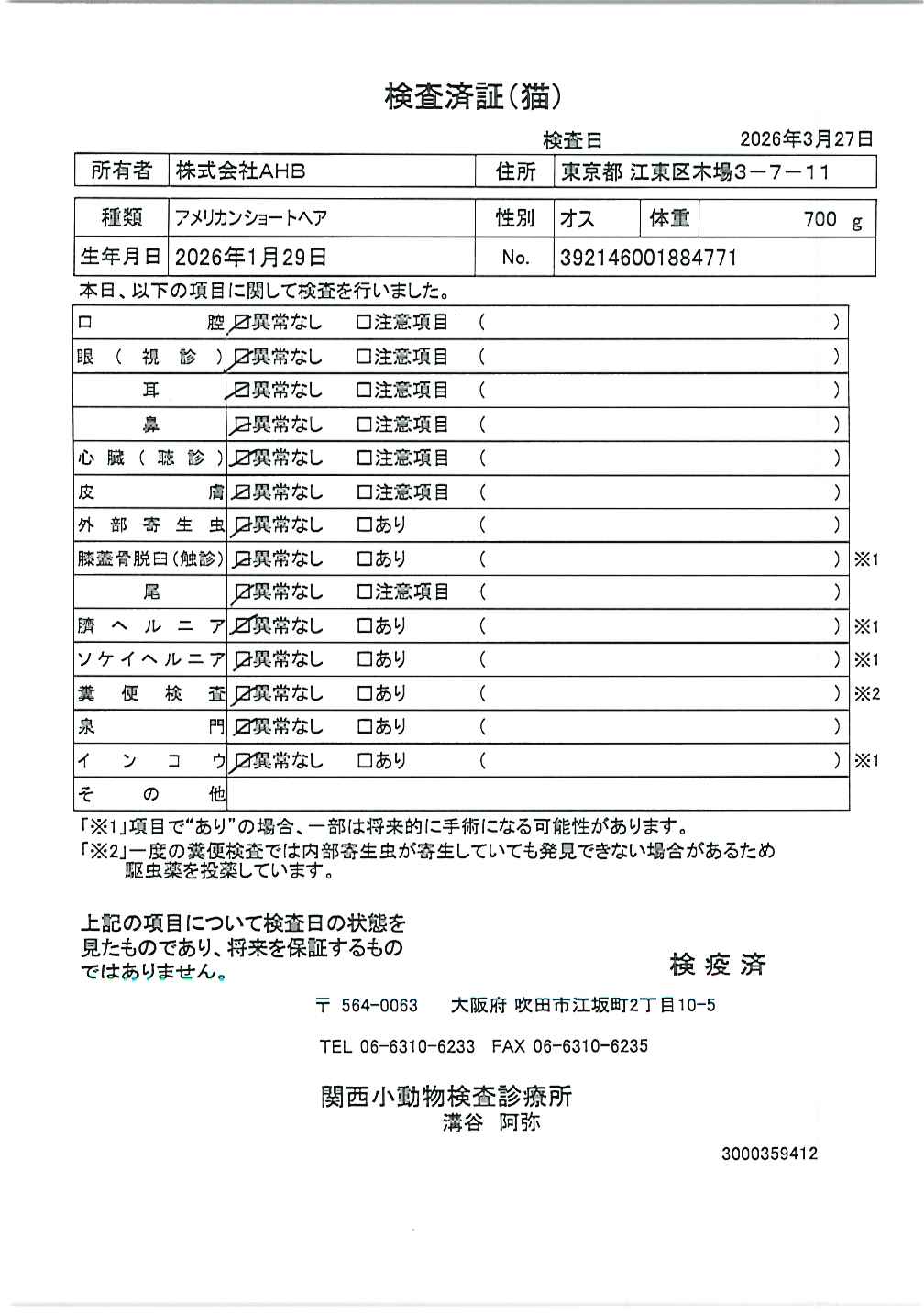 アメリカンショートヘア