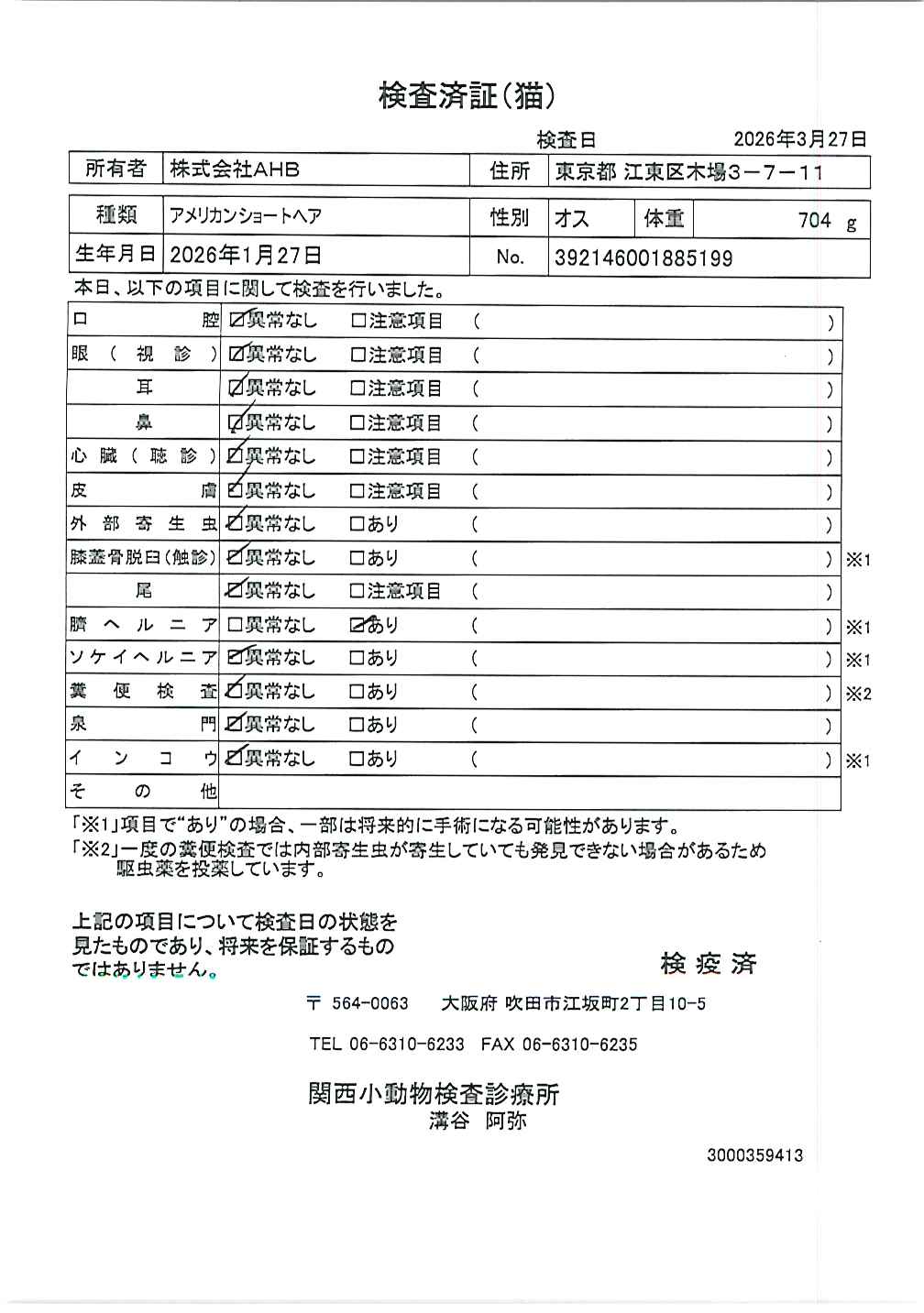 アメリカンショートヘア