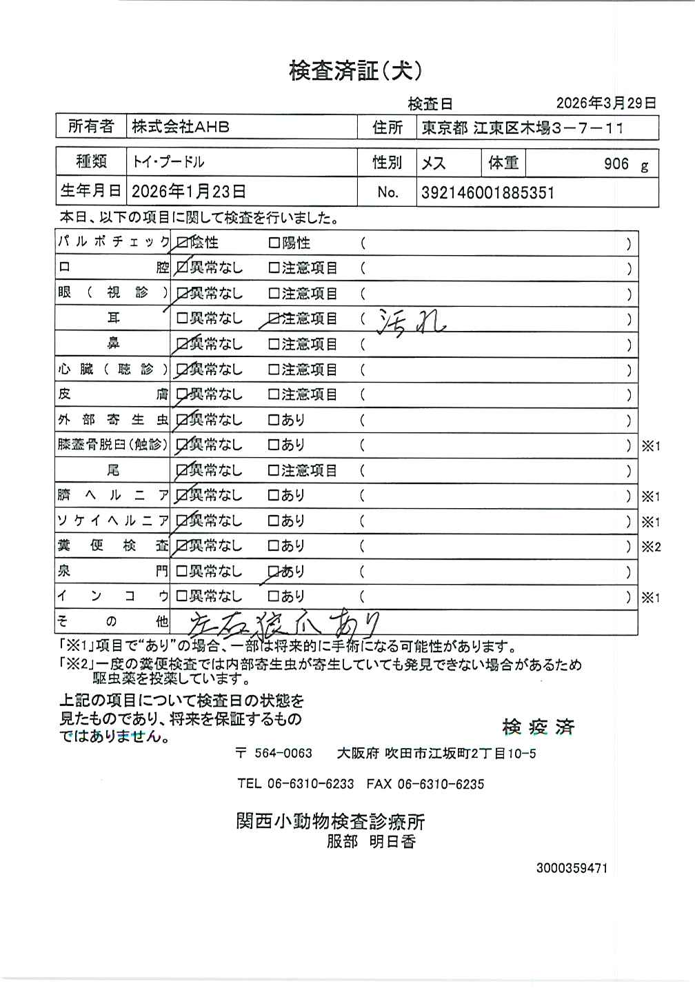 トイ・プードル
