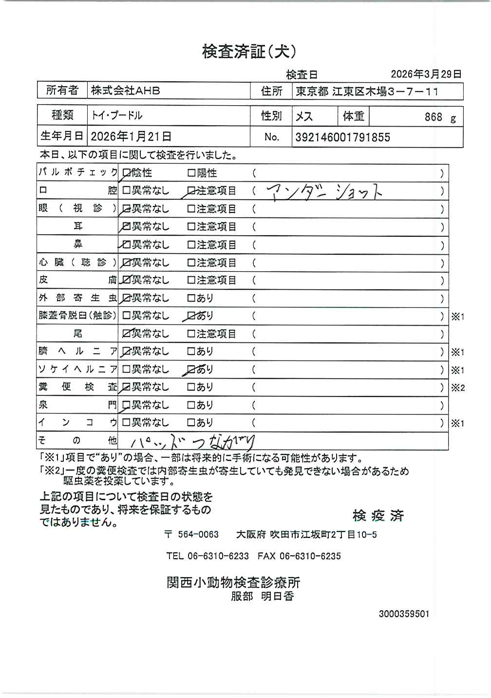 トイ・プードル