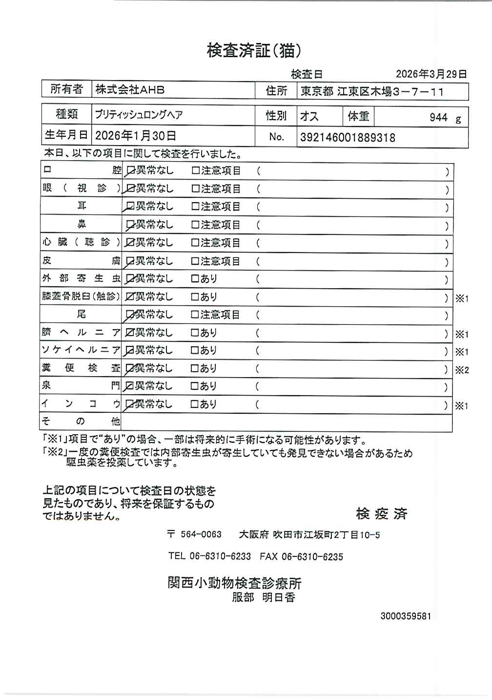 ブリティッシュロングヘア