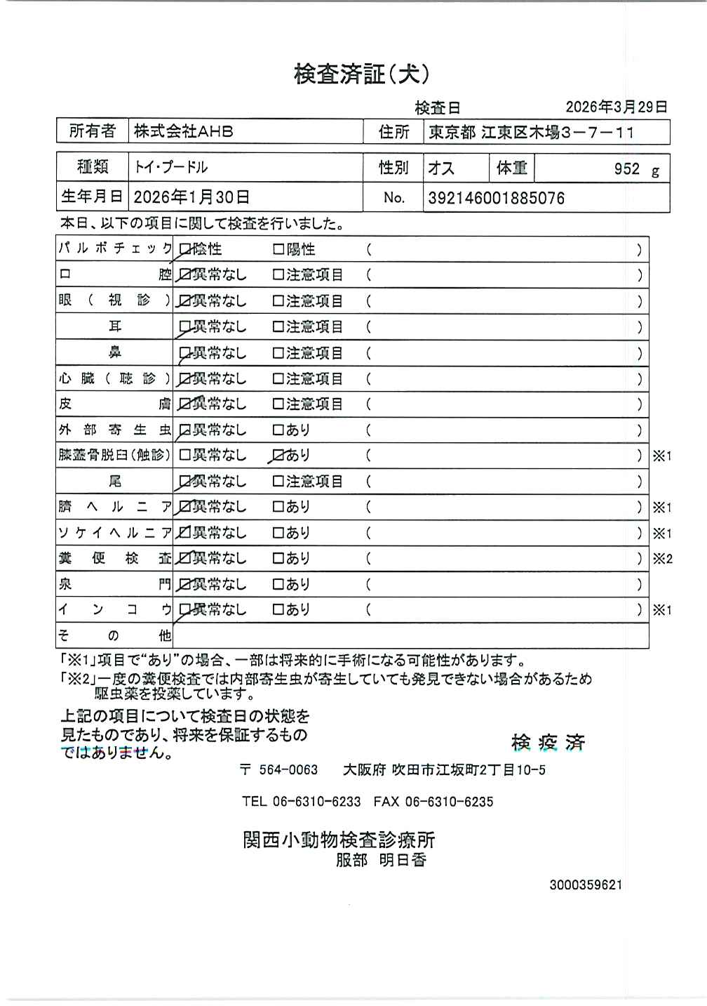 トイ・プードル