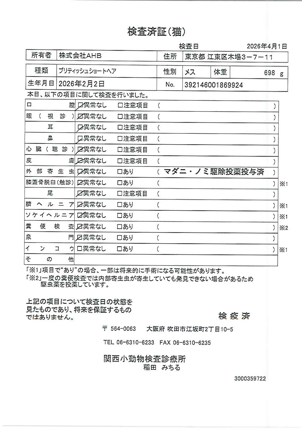 ブリティッシュショートヘア