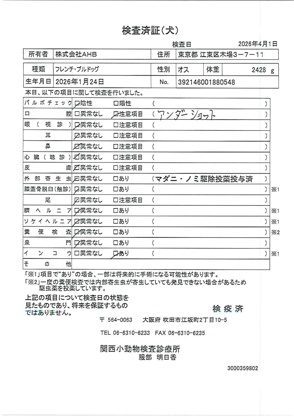 フレンチ・ブルドッグ