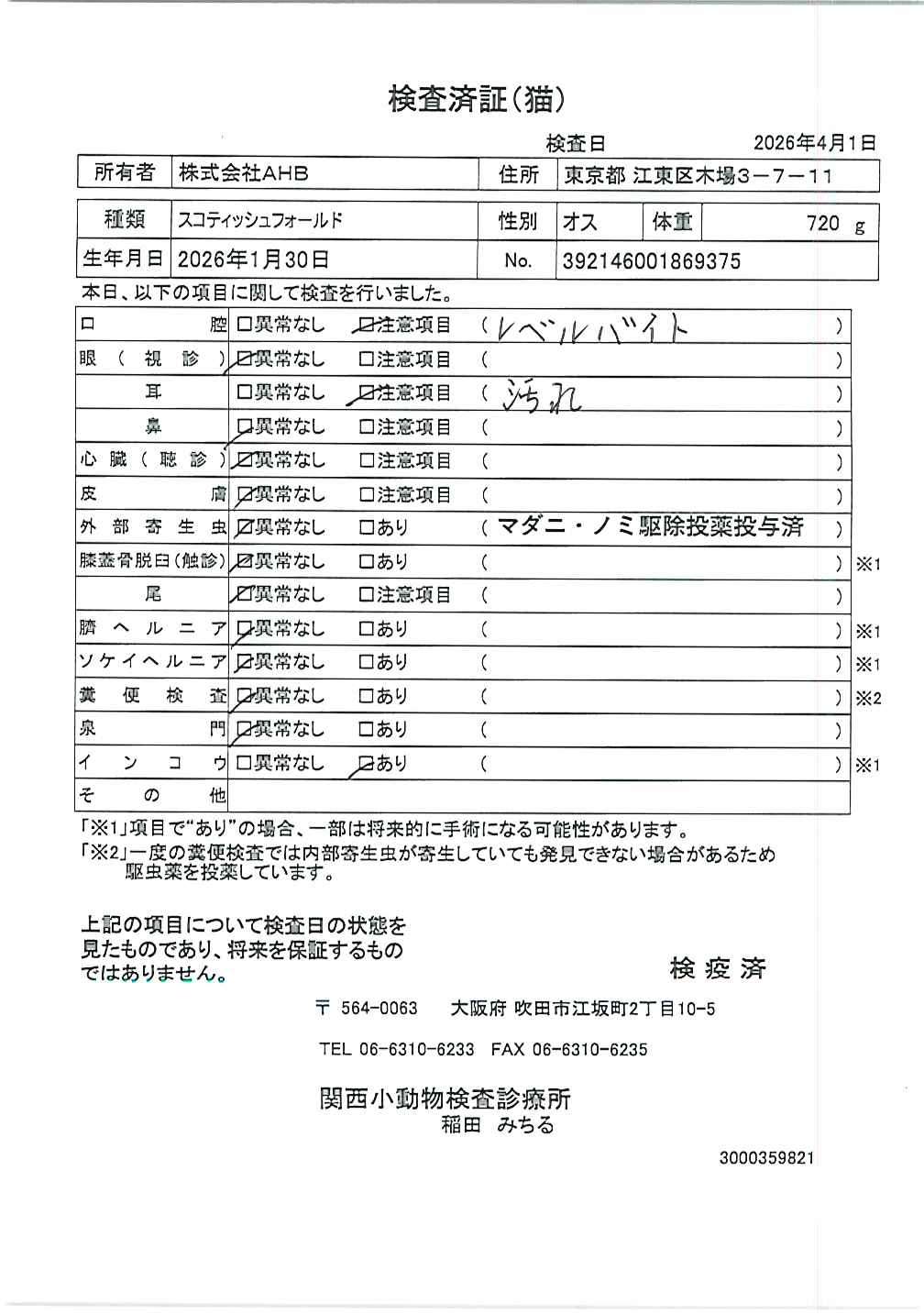 スコティッシュフォールド