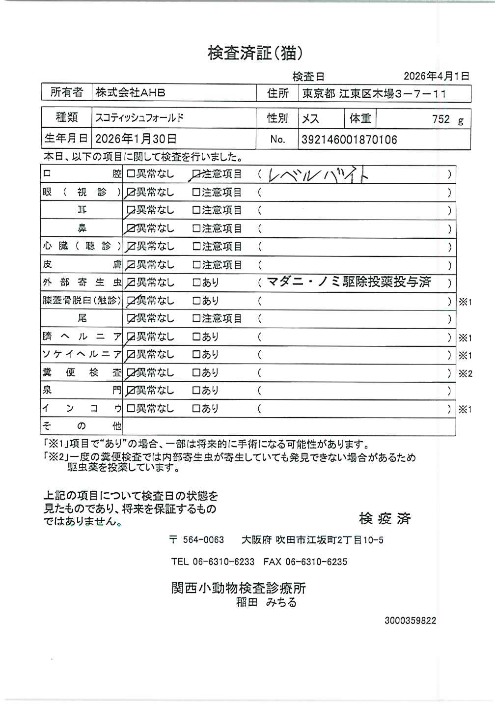 スコティッシュフォールド