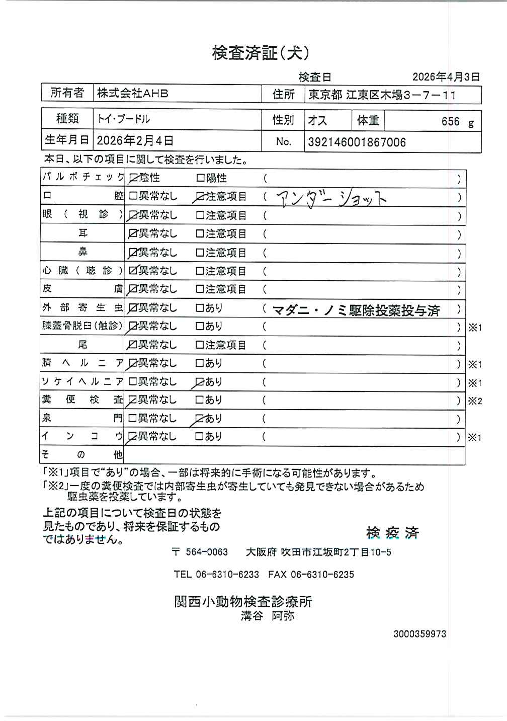 トイ・プードル
