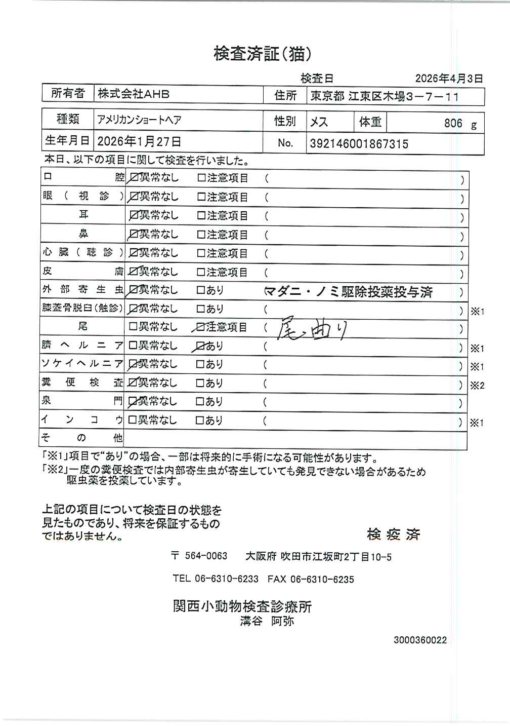 アメリカンショートヘア