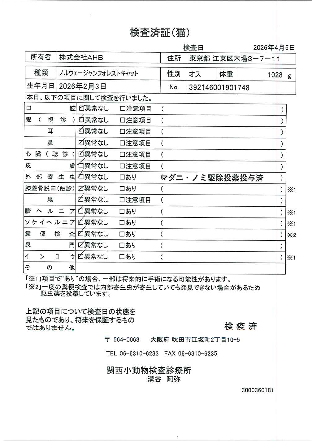 ノルウェージャンフォレストキャット