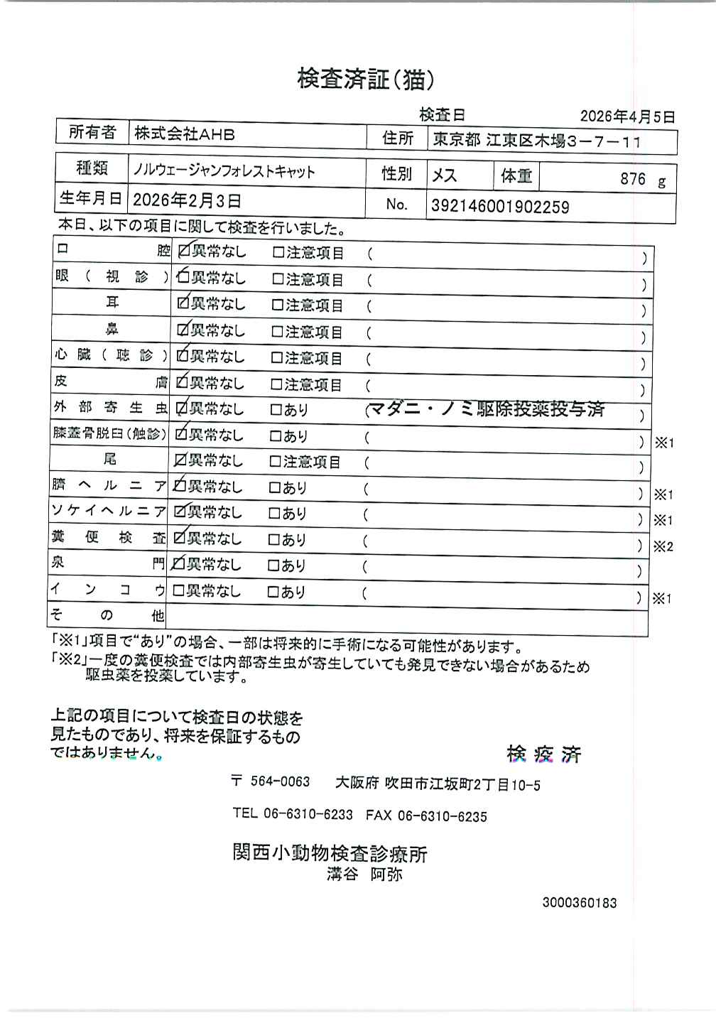 ノルウェージャンフォレストキャット