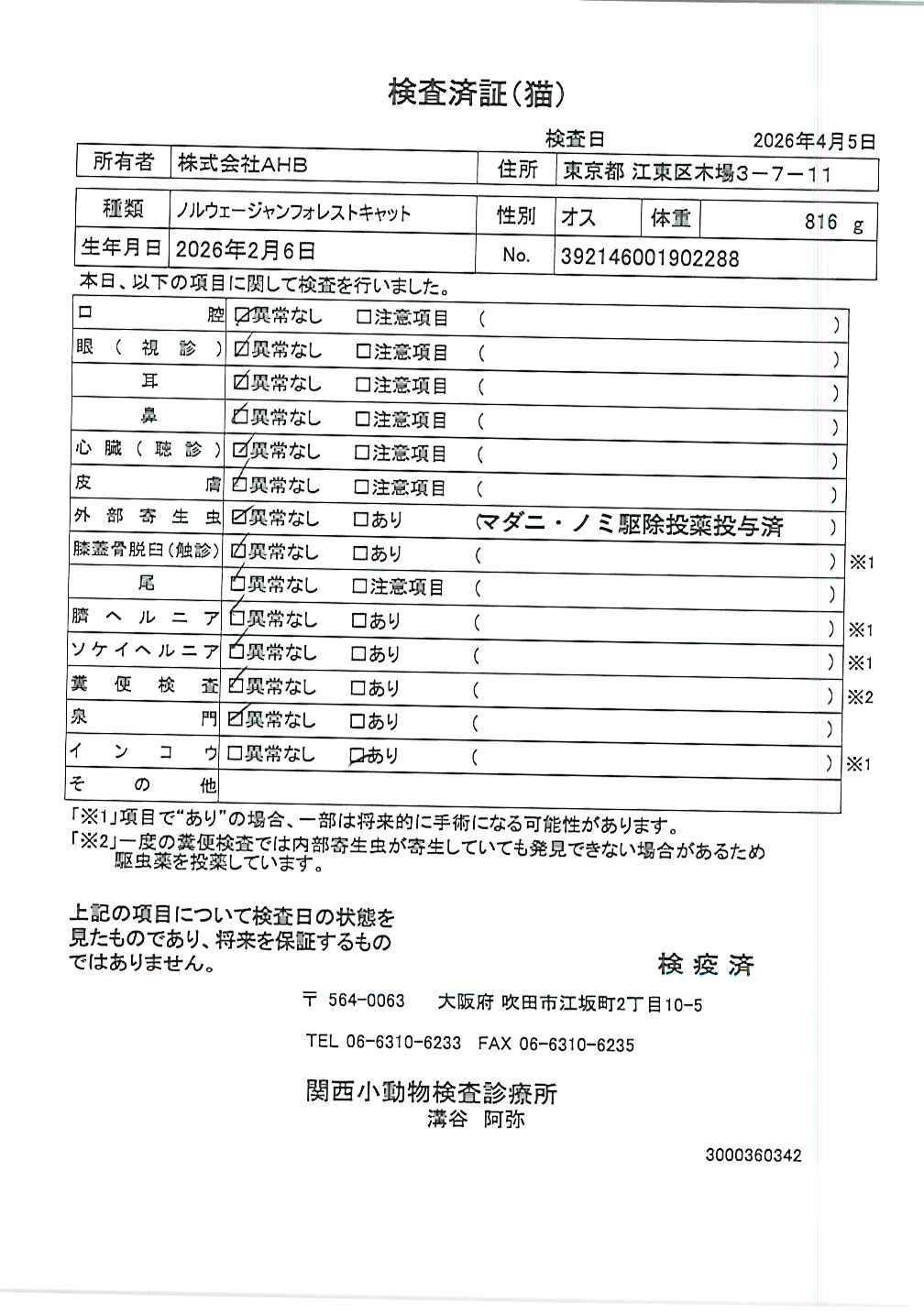 ノルウェージャンフォレストキャット