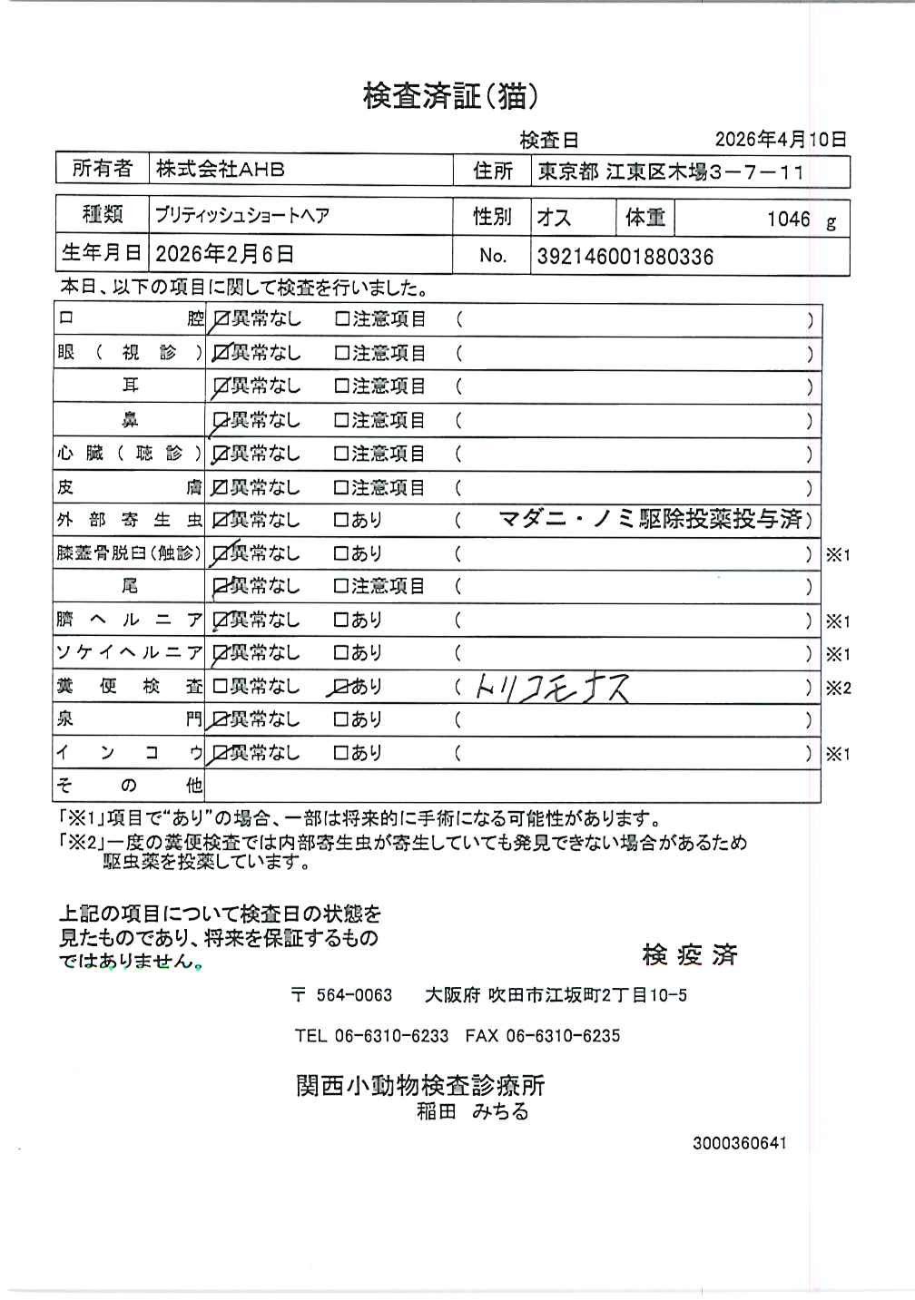 ブリティッシュショートヘア