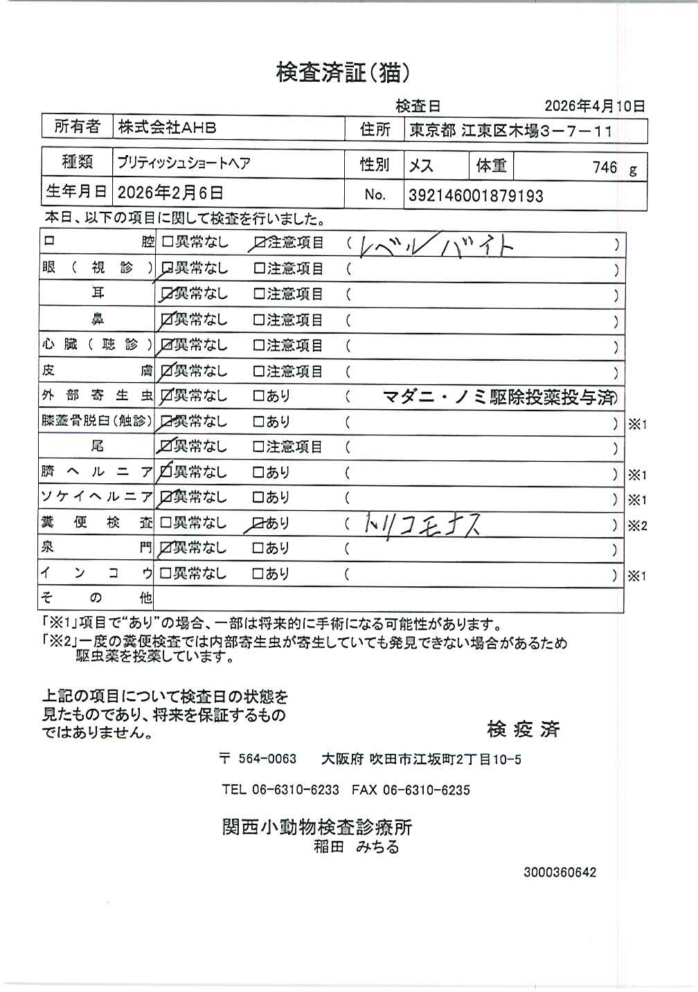 ブリティッシュショートヘア