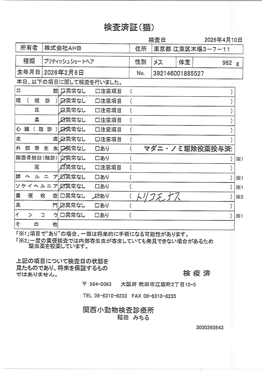 ブリティッシュショートヘア