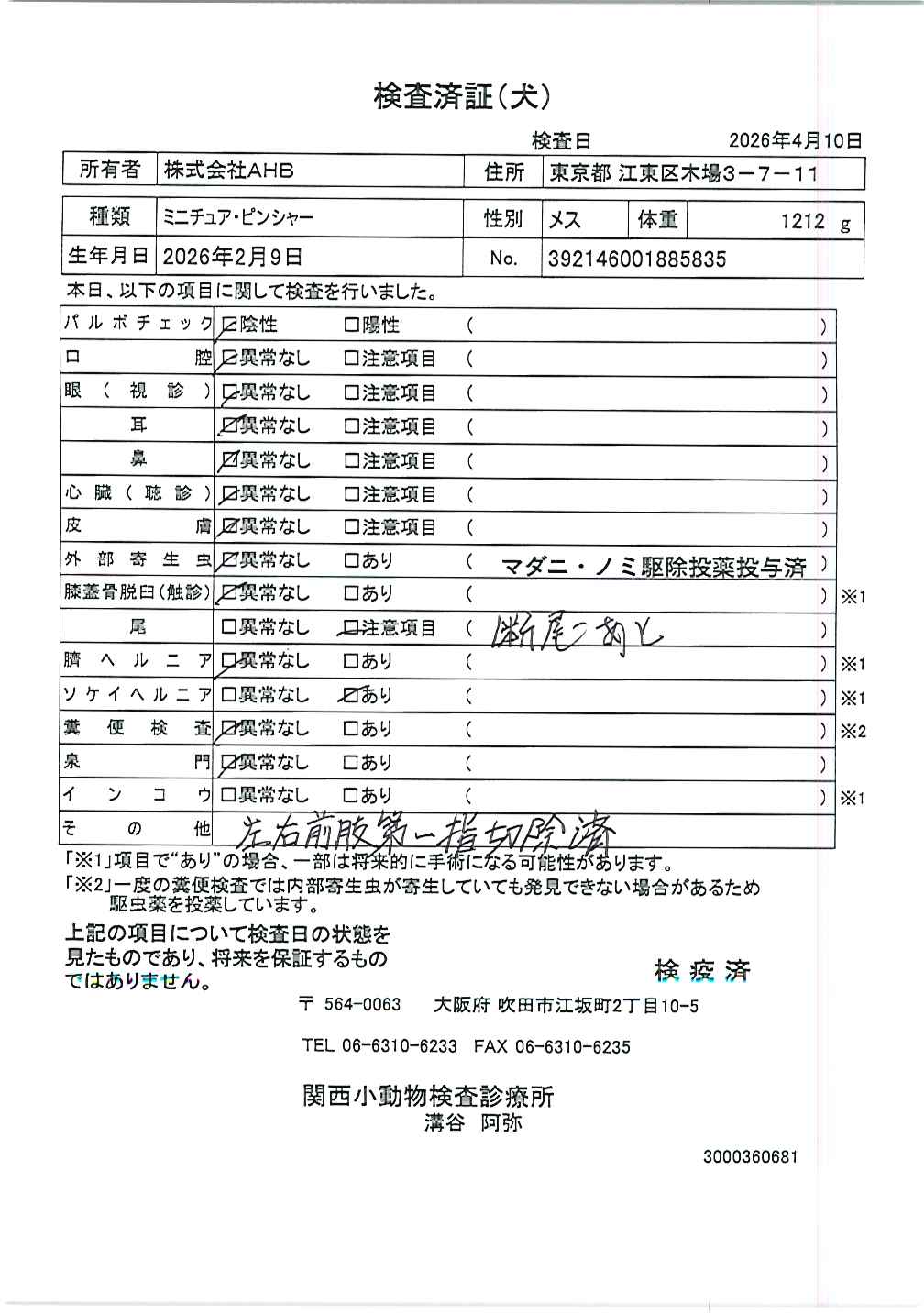 ミニチュア・ピンシャー