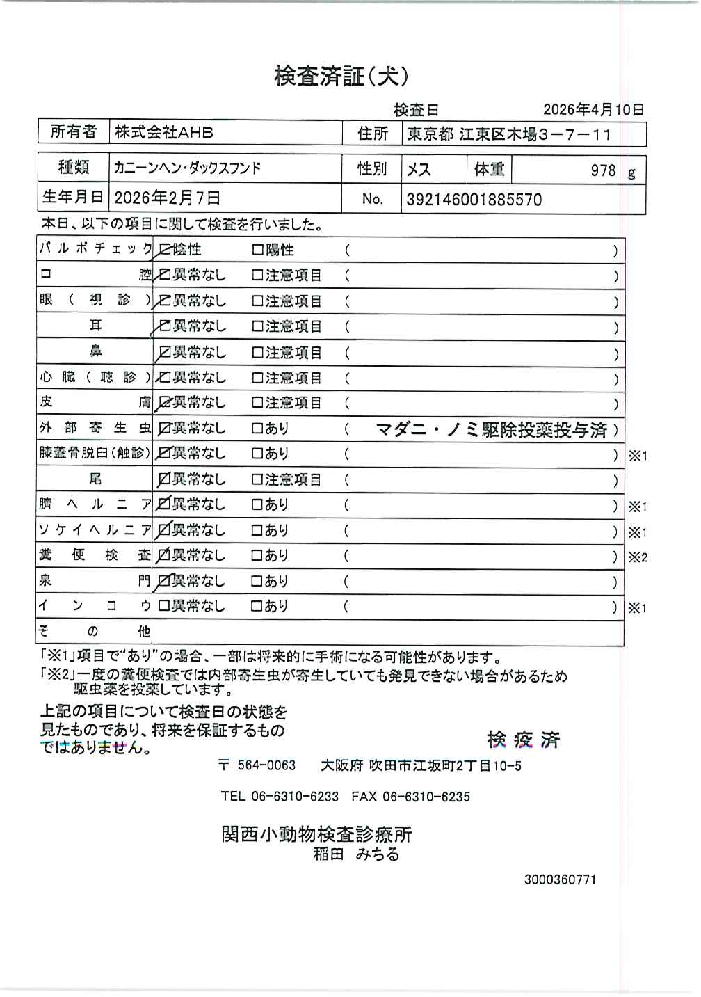 カニーンヘン・ダックスフンド