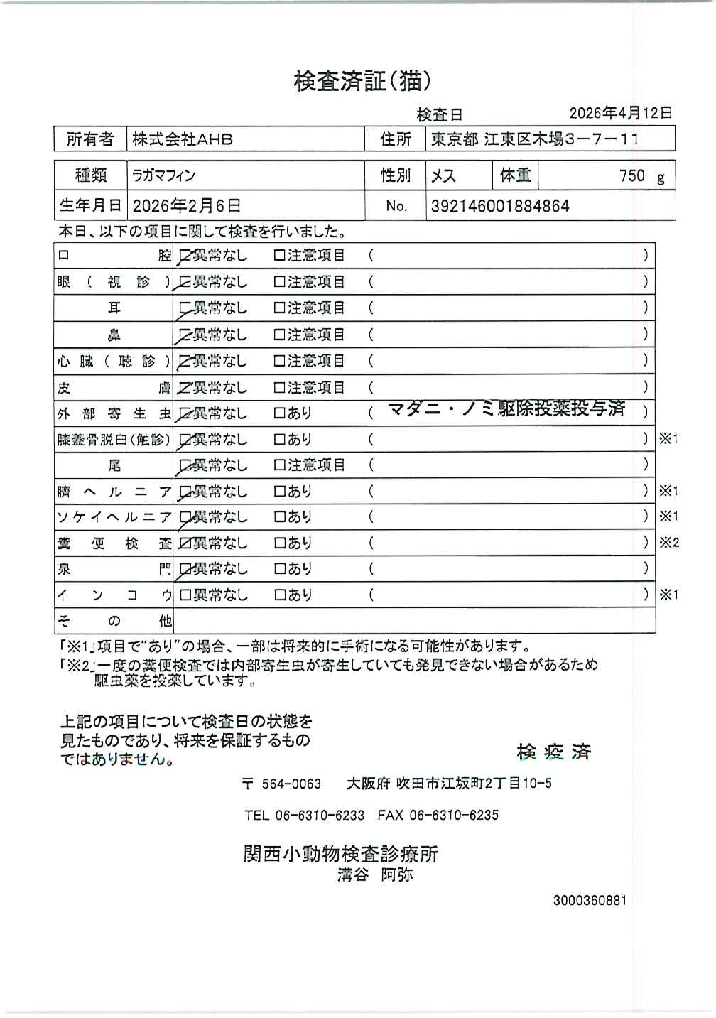 ラガマフィン