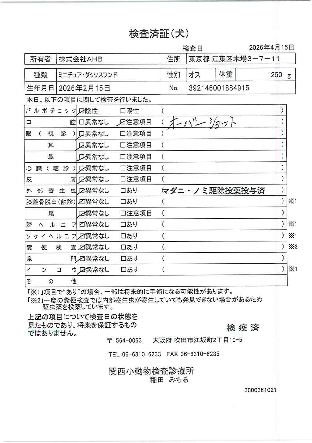 ミニチュア・ダックスフンド