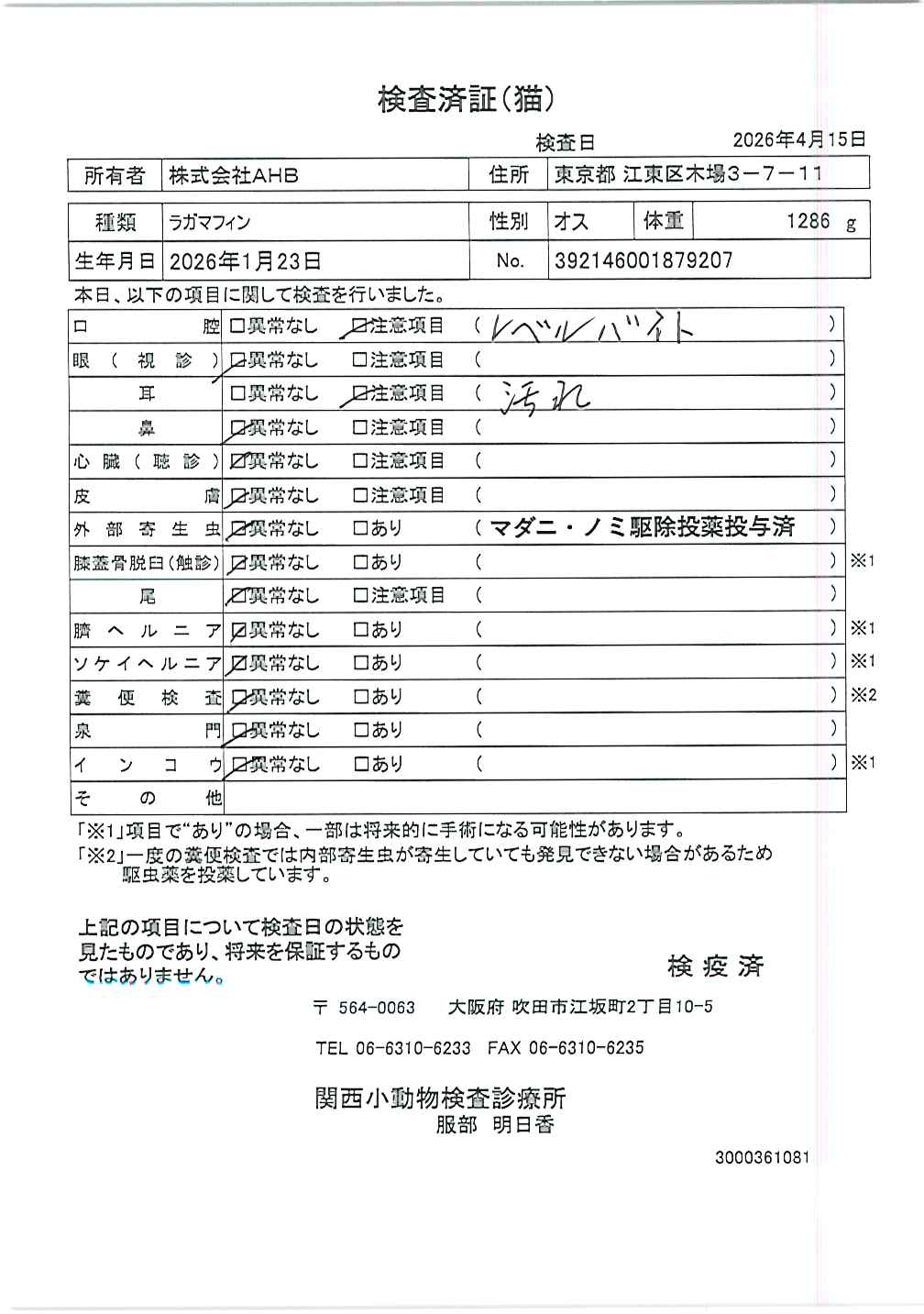 ラガマフィン