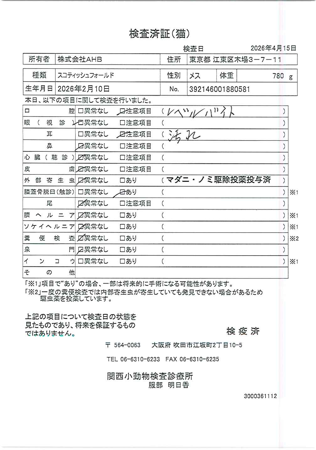 スコティッシュフォールド