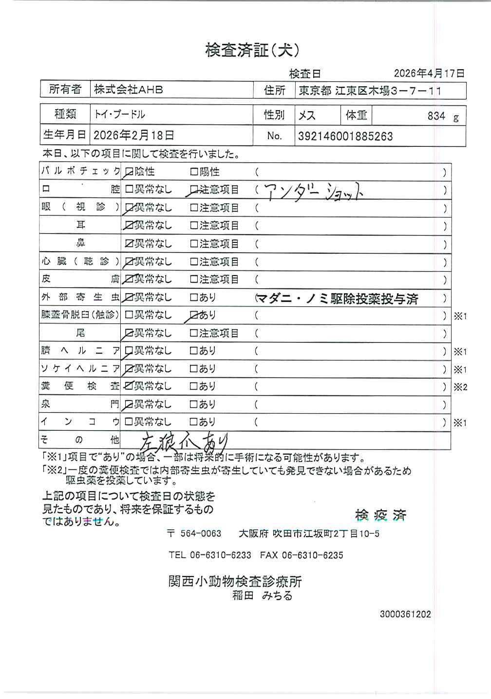 トイ・プードル