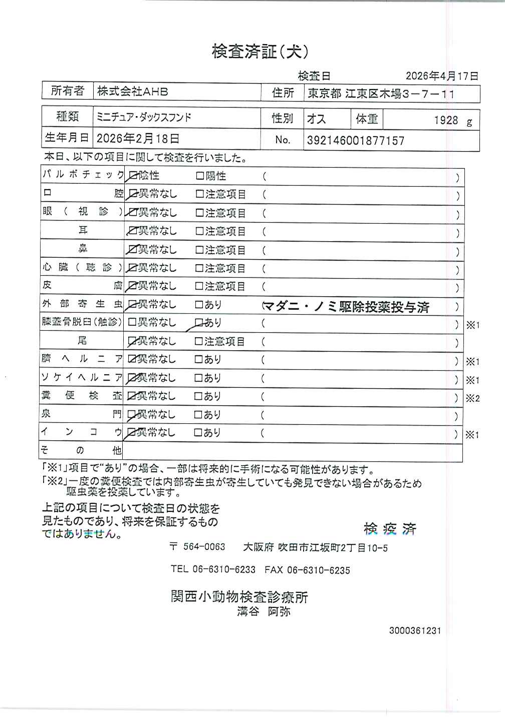 ミニチュア・ダックスフンド