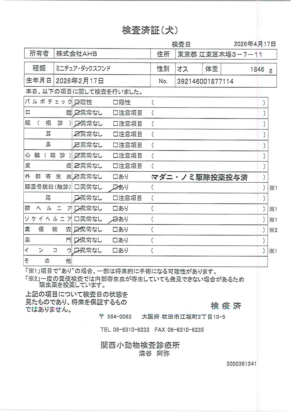 ミニチュア・ダックスフンド