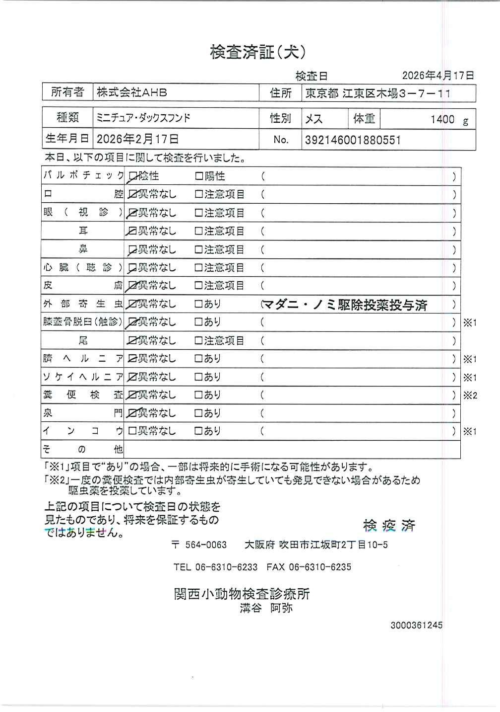 ミニチュア・ダックスフンド