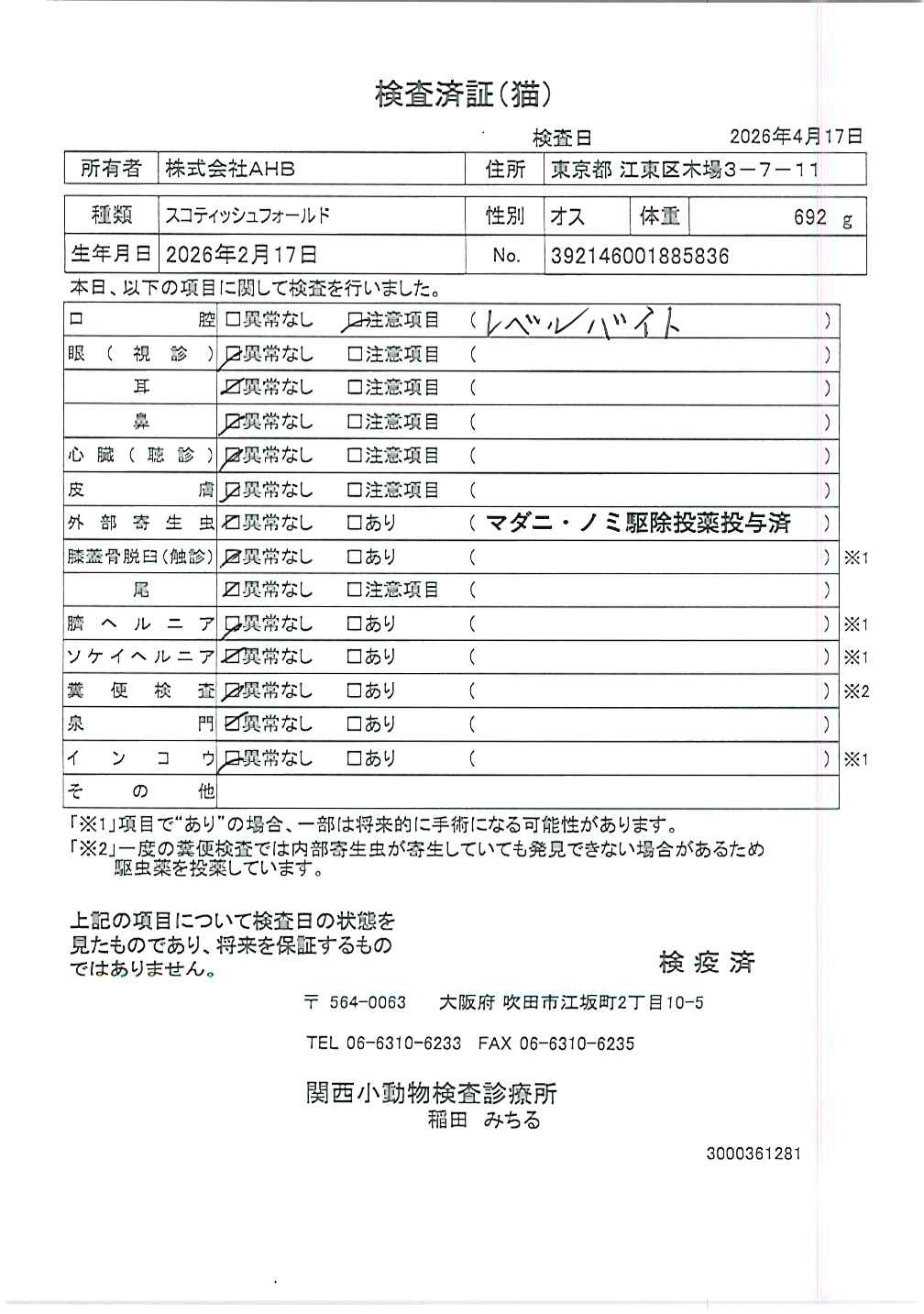 スコティッシュフォールド