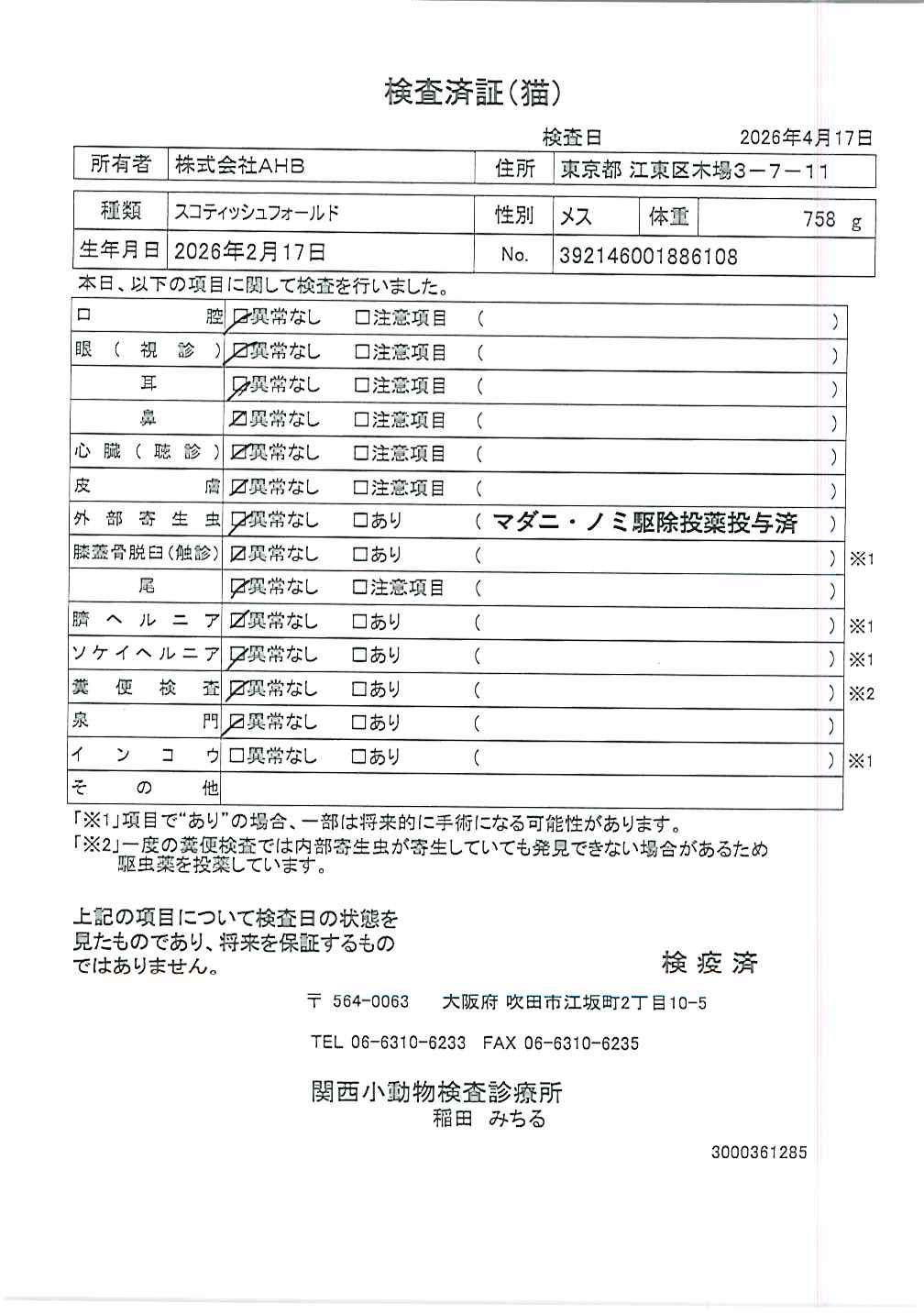 スコティッシュフォールド