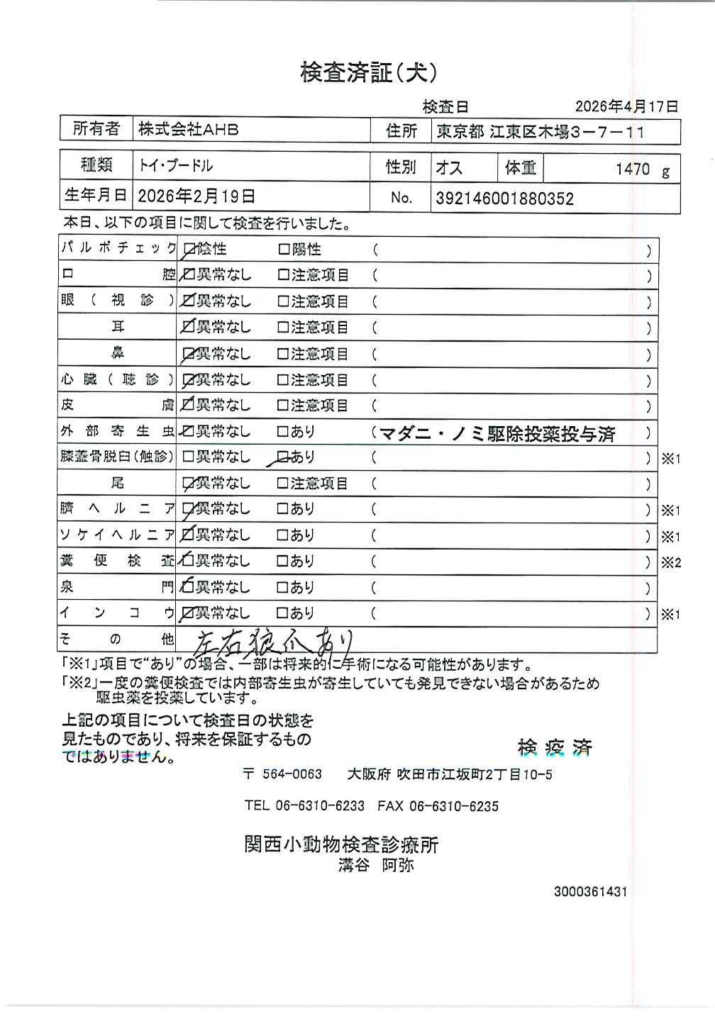 トイ・プードル