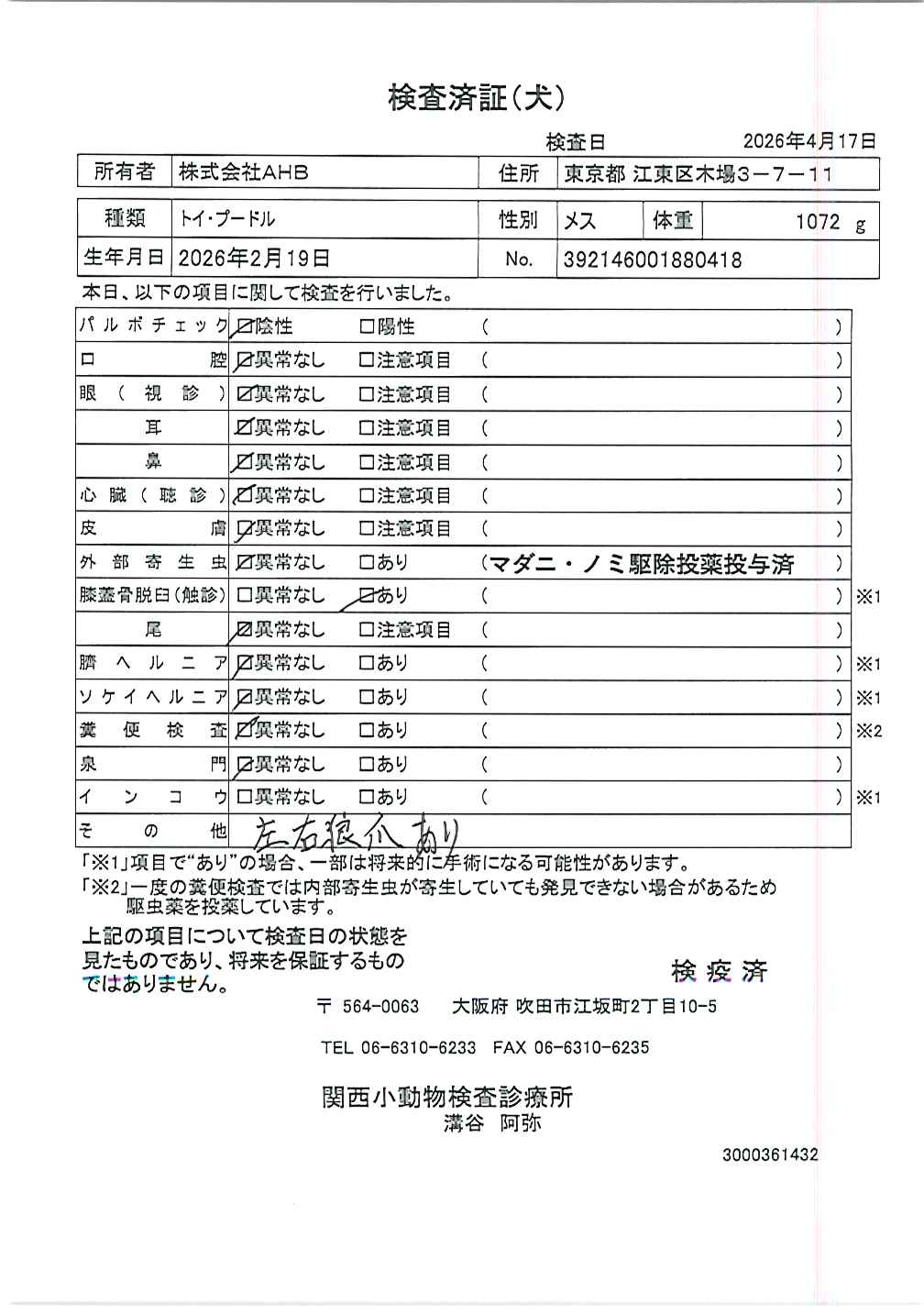 トイ・プードル