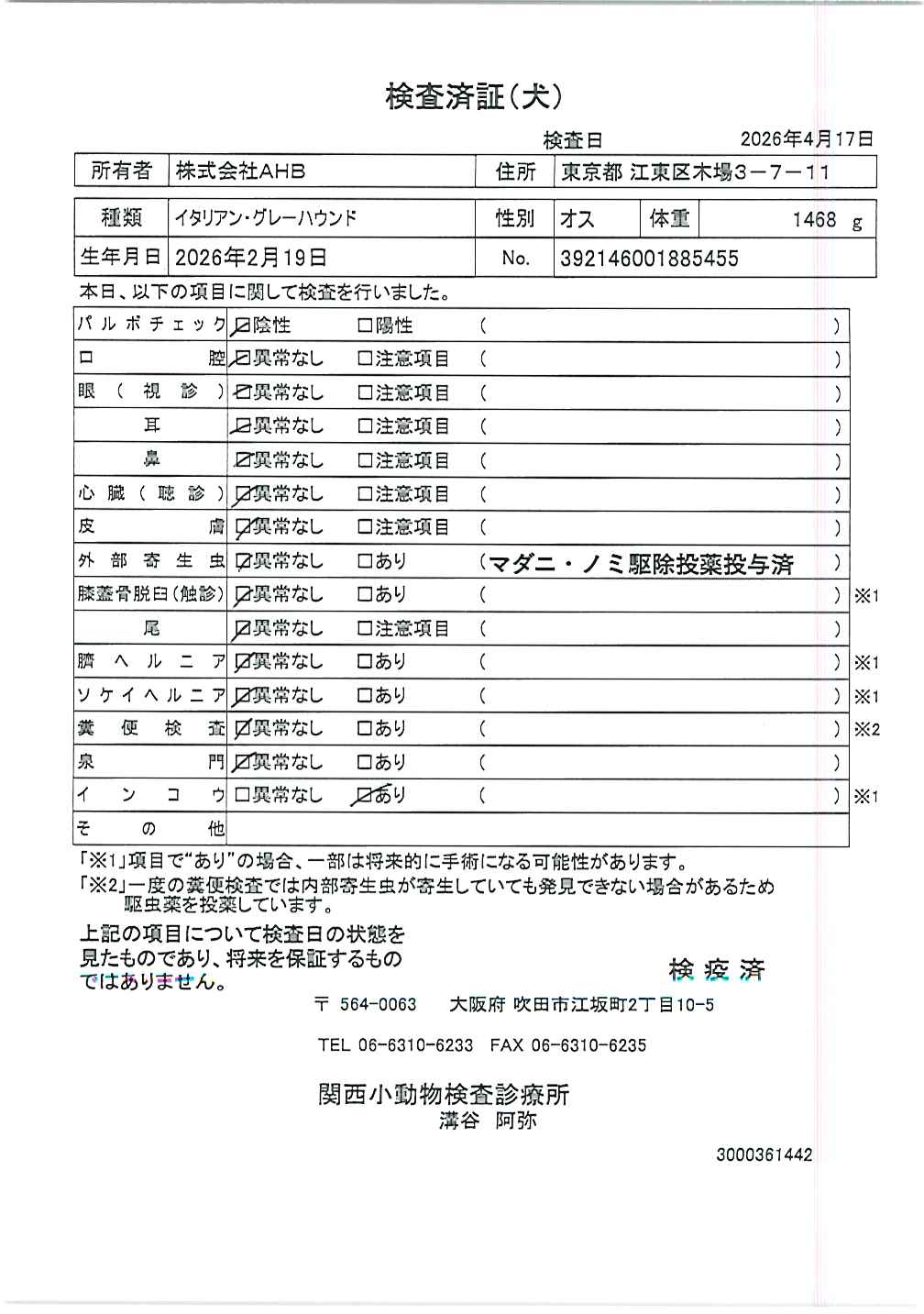 イタリアン・グレーハウンド