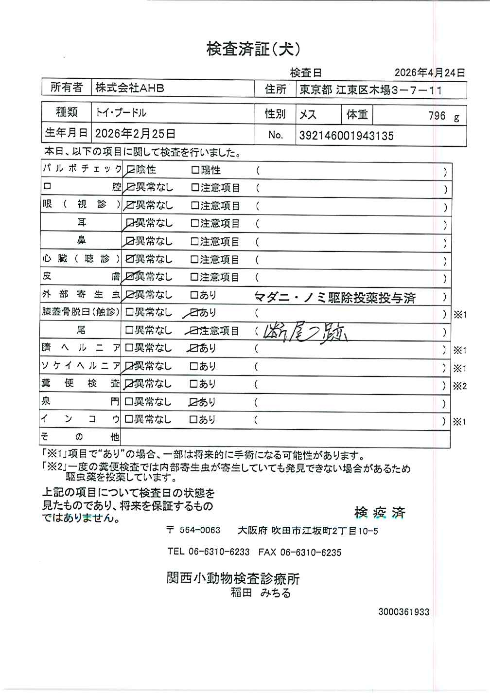 トイ・プードル