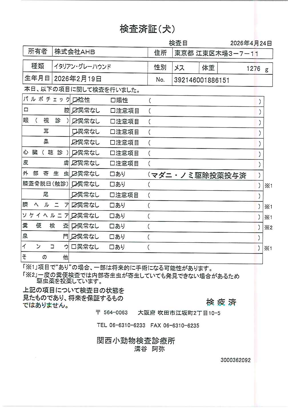 イタリアン・グレーハウンド
