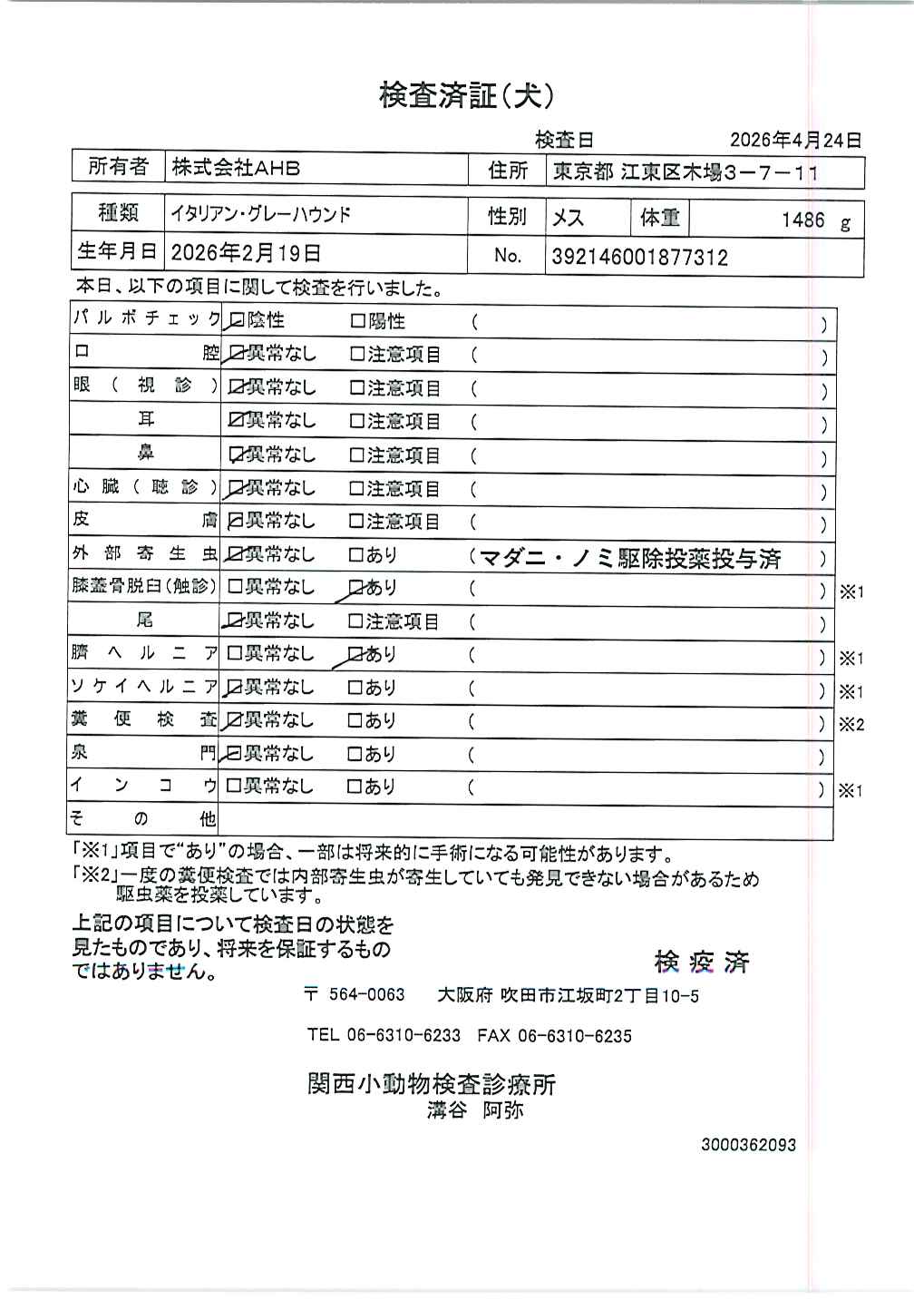 イタリアン・グレーハウンド