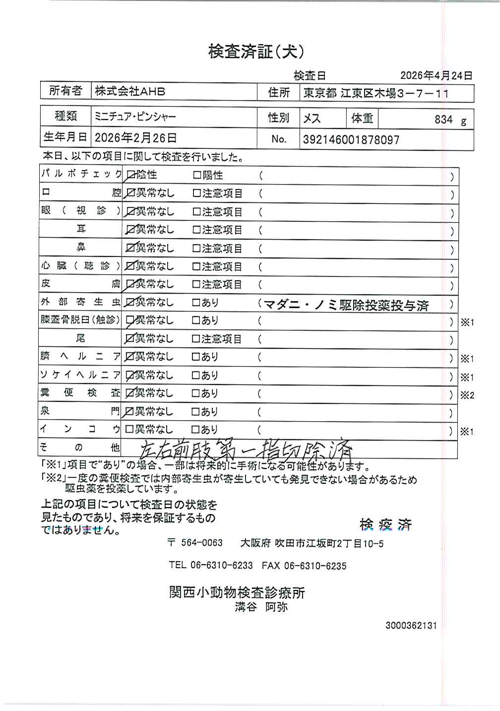 ミニチュア・ピンシャー