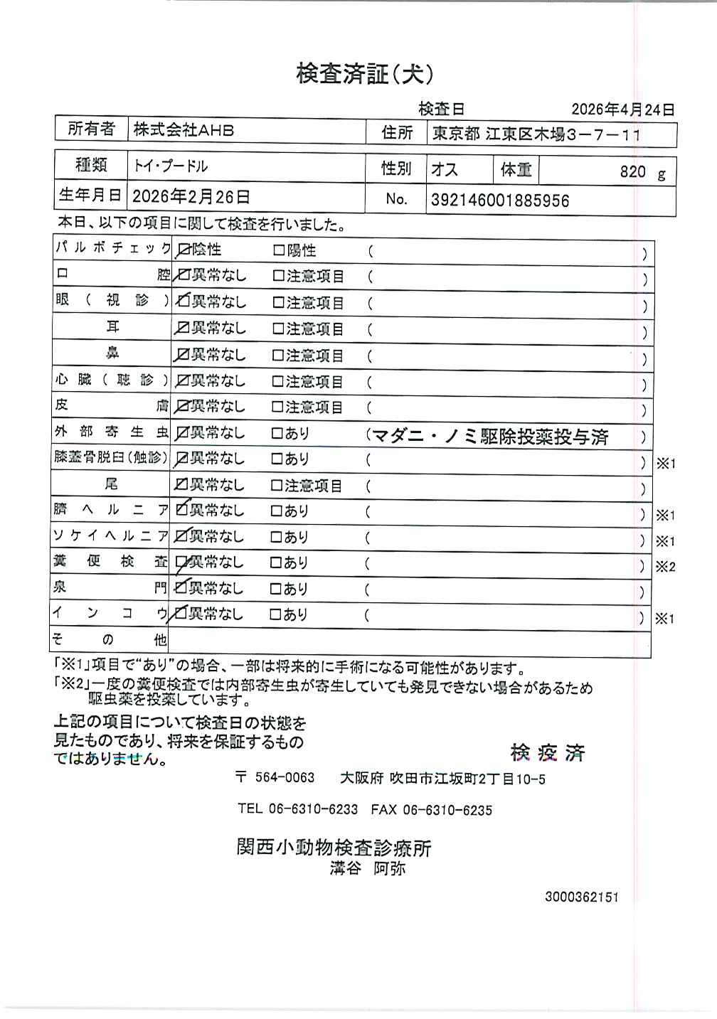 トイ・プードル