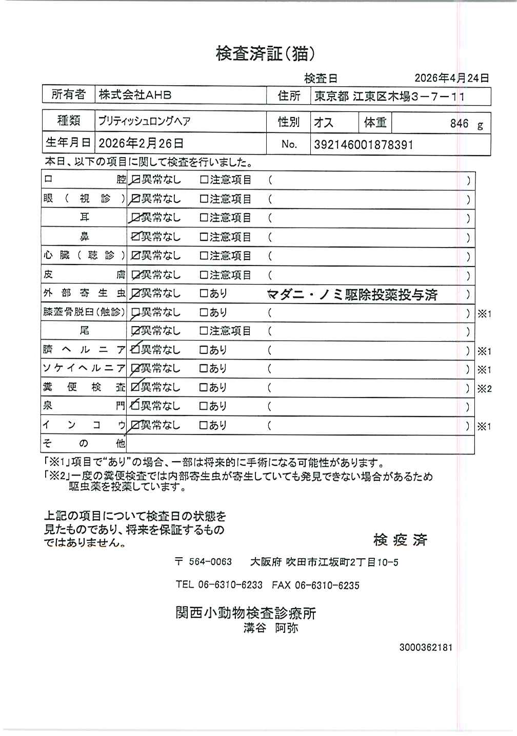 ブリティッシュロングヘア