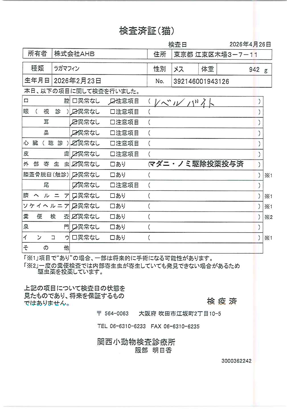 ラガマフィン