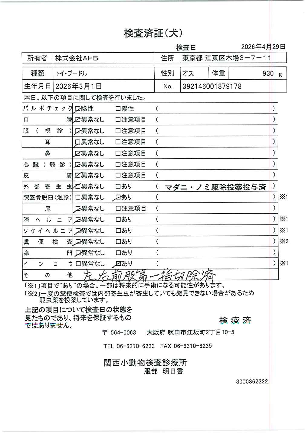 トイ・プードル