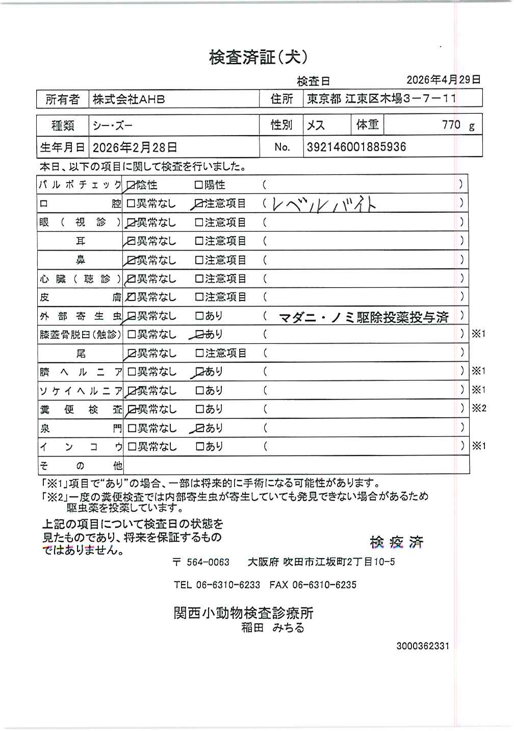 シー・ズー